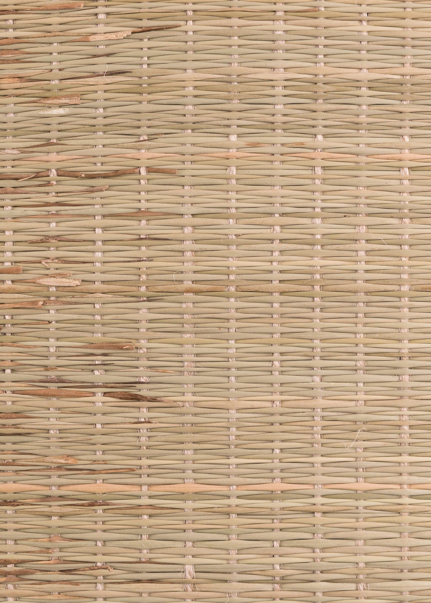 Tatami pour les Epreuve de Coupe Tameshigiri - Hefei Sunhope-T.A DEFENSE