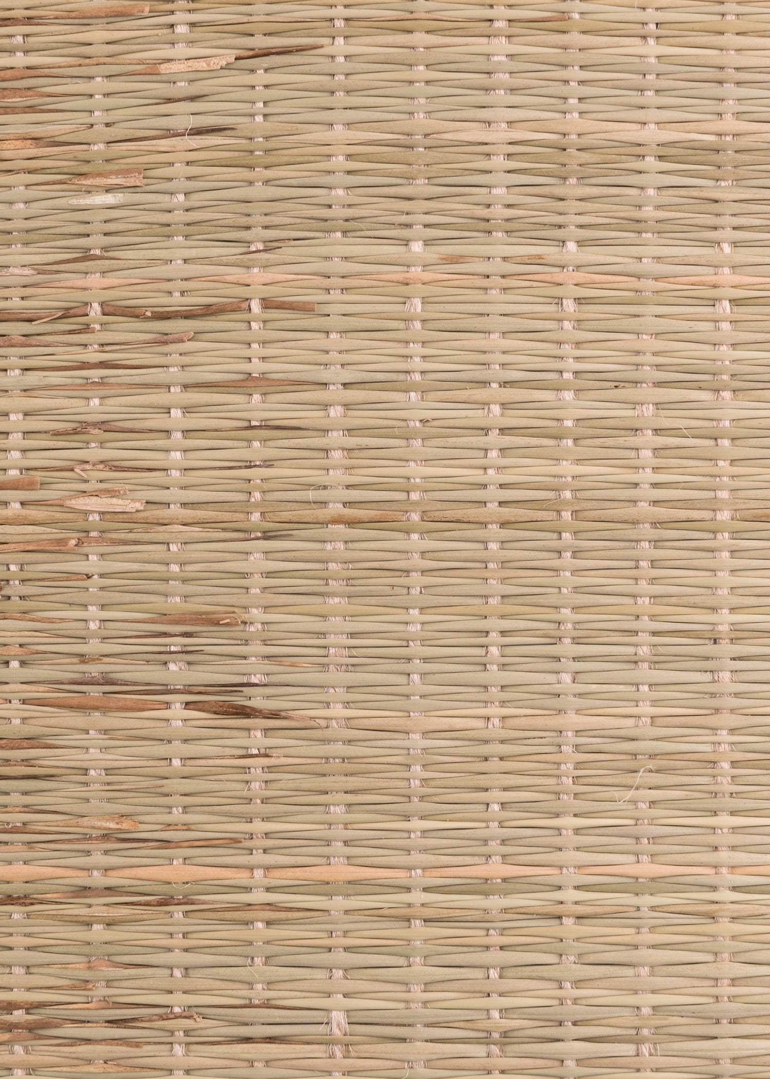 Tatami pour les Epreuve de Coupe Tameshigiri - Hefei Sunhope-T.A DEFENSE