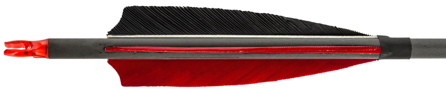 Fleche en carbone avec plumes pour arc Spin 340-T.A DEFENSE