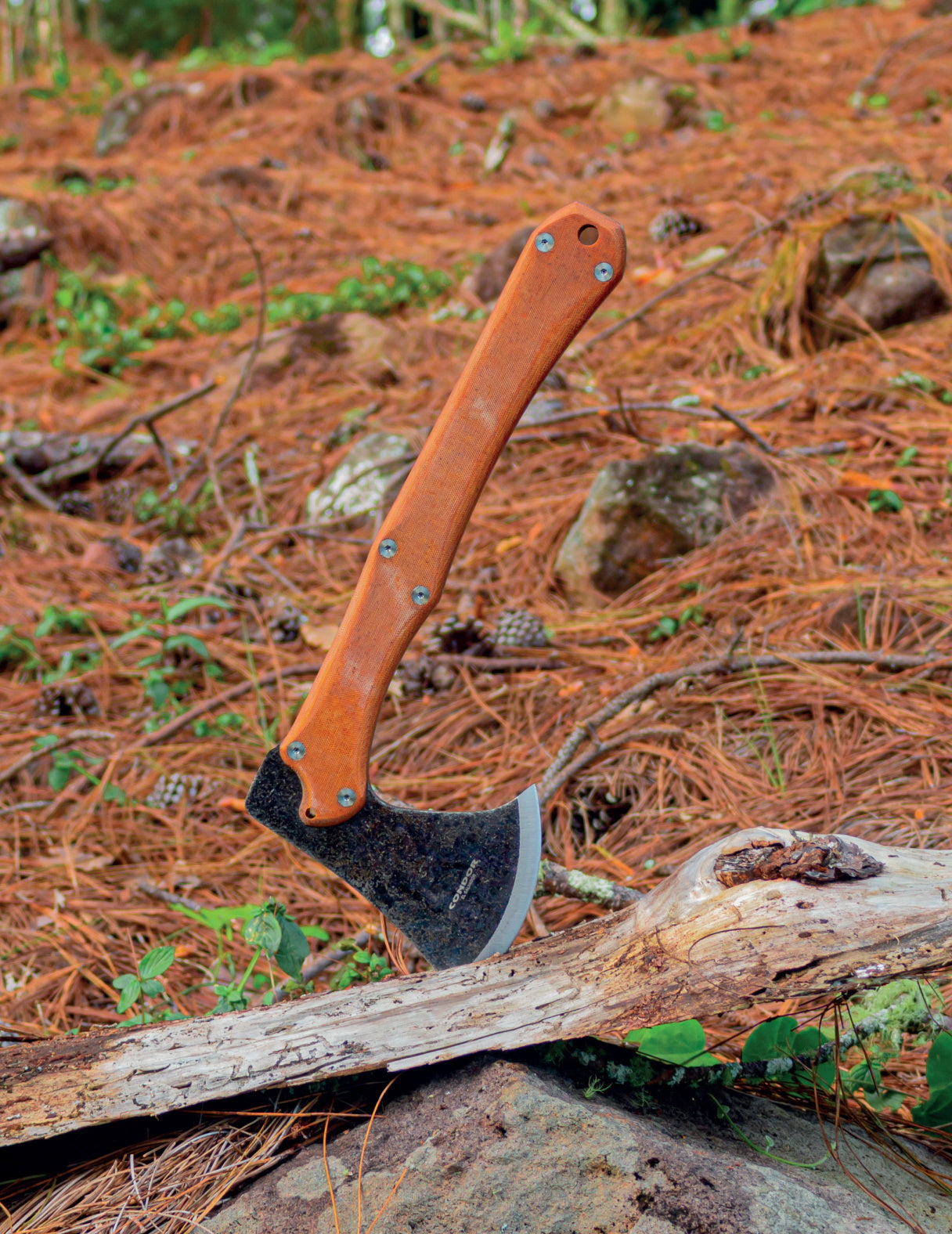 Hache Mountain Pass - Condor-T.A DEFENSE