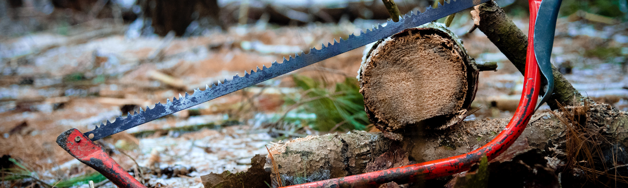 Le Survivalisme, fondé ou infondé ?