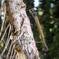 Hache Bushcraft Axe - Gerber-T.A DEFENSE