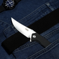 Couteau pliant Firebird FH923BK - Ganzo-T.A DEFENSE