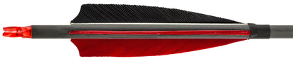 Fleche en carbone avec plumes pour arc Spin 340-T.A DEFENSE