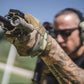 Gants Original Multicam - Mechanix-T.A DEFENSE