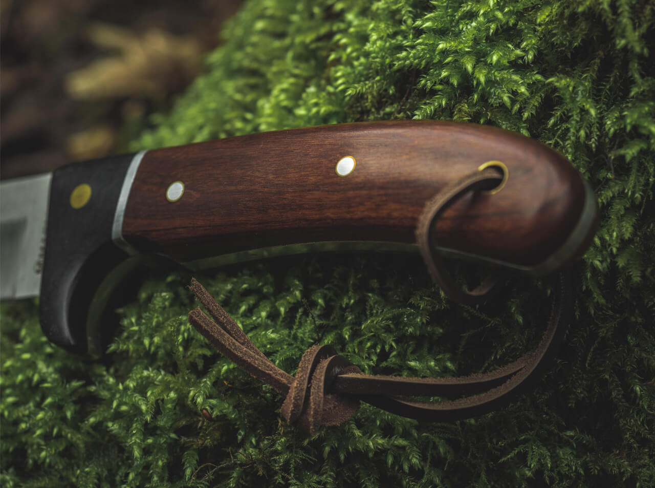 Couteau fixe Elk Hunter - Boker-T.A DEFENSE